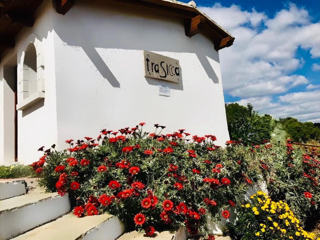 Trasicca B&B Brunella Exteriör bild